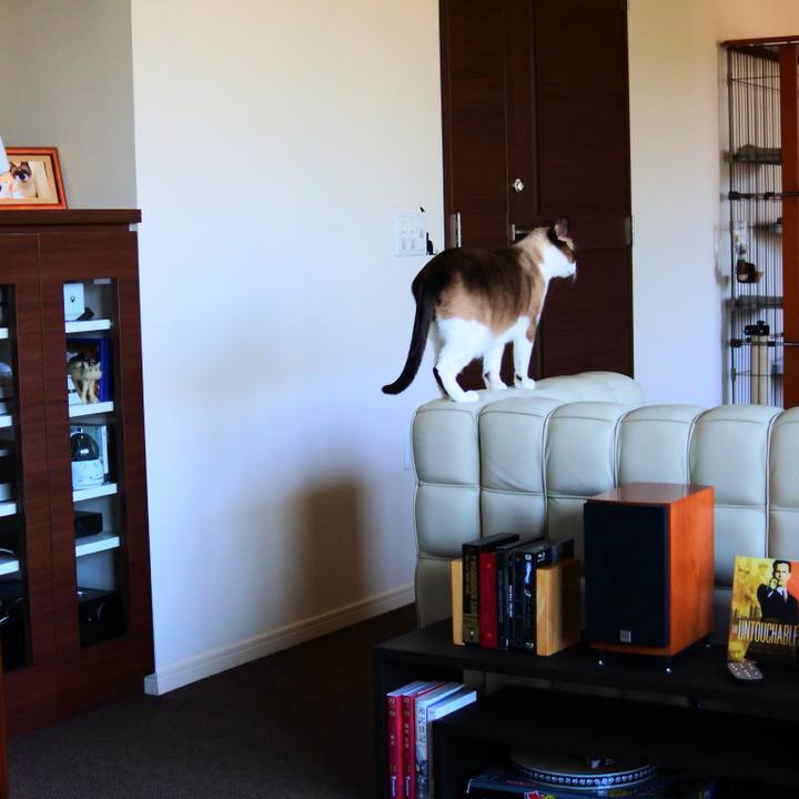 85b7a41e 9cc9 4c34 bcd5 8bde5c5e9bfc