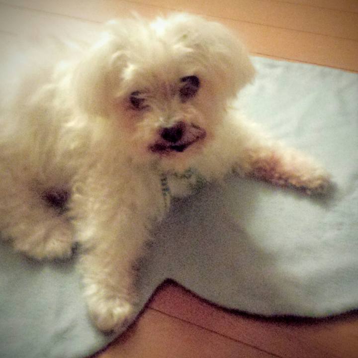 85b7c972 fd89 40e9 a38c 817869fe4364