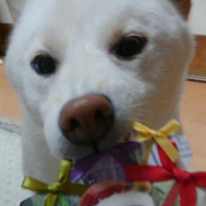 85b7eaa0 3812 473b 905c 1378a5ff2426