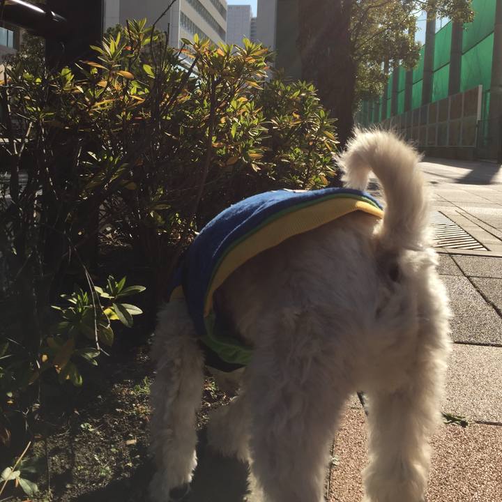 85b82b4b 9f78 4e34 a013 4f13b949cedd