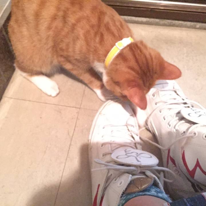 85b87307 4cc1 4ddc 9796 5595bbeed1e7