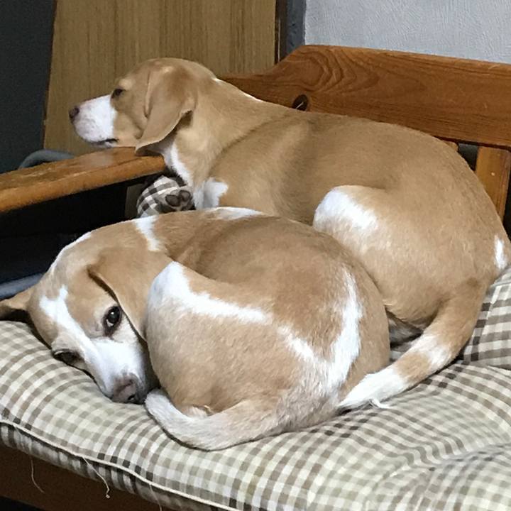 85b96d4c b1a4 45f2 8cce a4ea4bf2744c