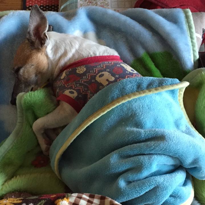 85b97184 e19a 4732 ac7e 8e2df5faed2c