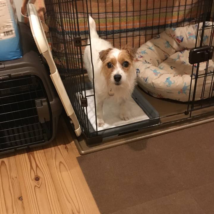 85b9bbea 9e24 4499 985a 39254c607f4a