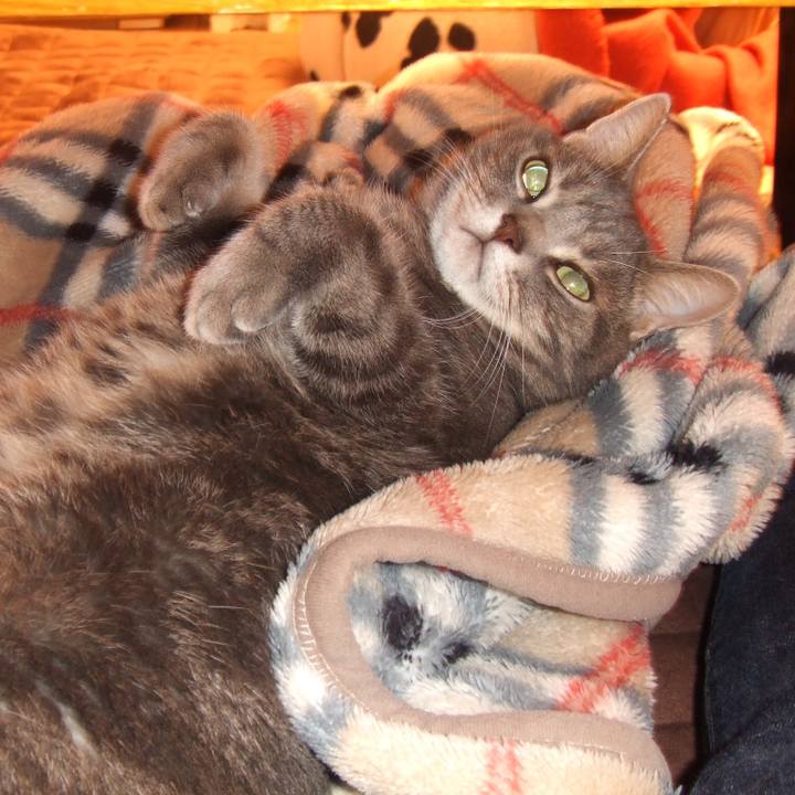 85b9cbff d6ef 4fa1 981c 03eb80f1f957