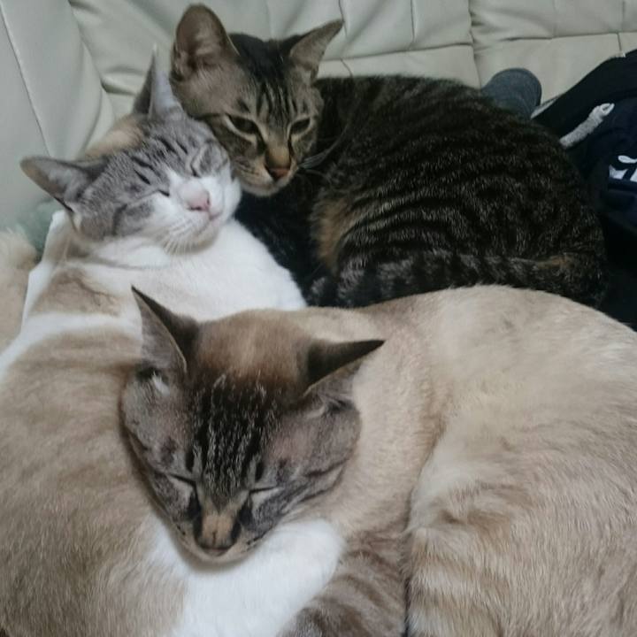 85ba876f 6ca2 40e5 b7c5 3d92e7c20cd7