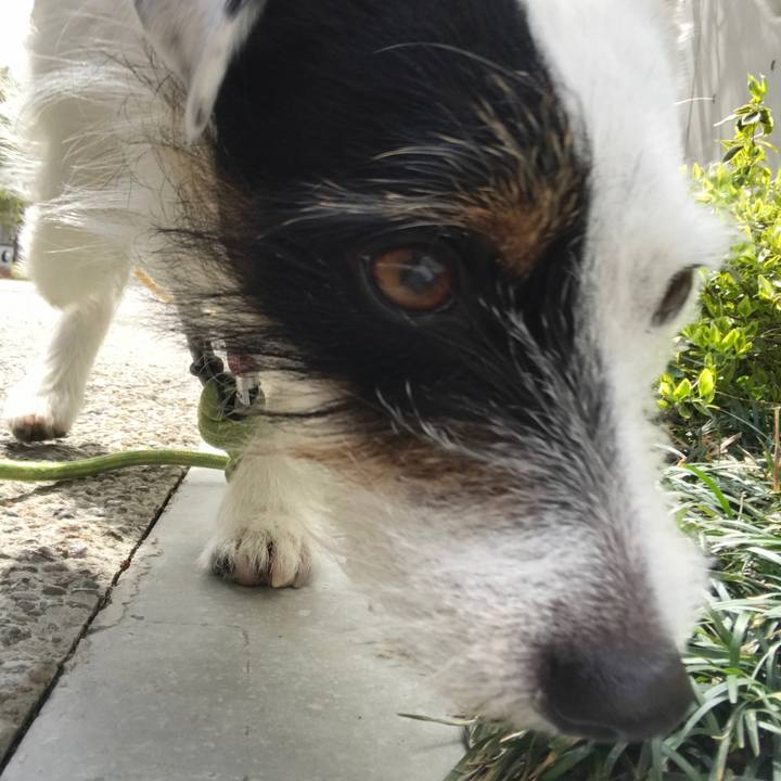 85baacf6 ccc4 44da 848a bfb78ae74f9d