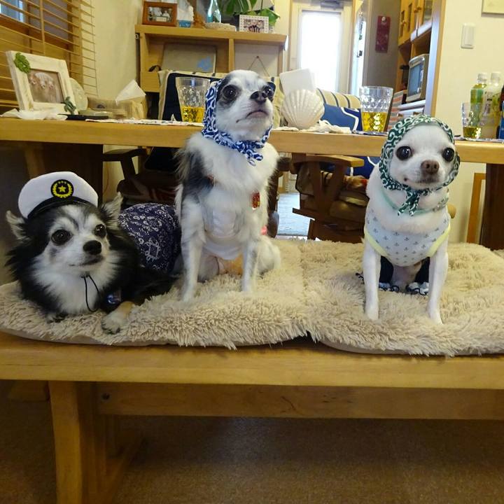 85baec27 be69 44d4 8844 0240867295ab