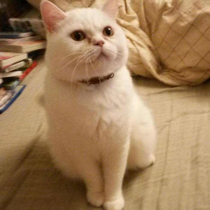 85baef42 ad53 45fa af1e 798b03a19d42