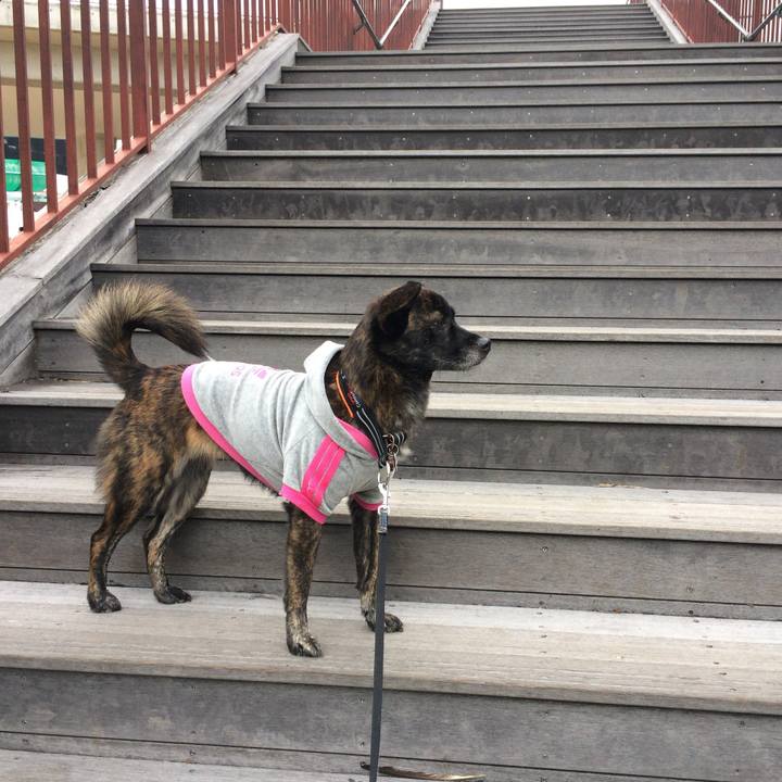 85bb0b32 c03d 466b ac02 13242fa57256