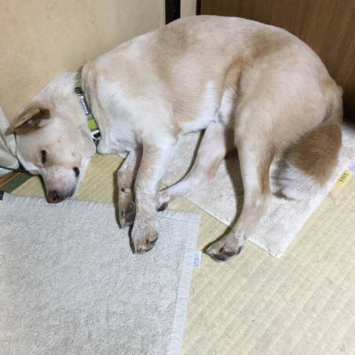 85bb4d89 988c 422f a49b 7f8641dee4fa