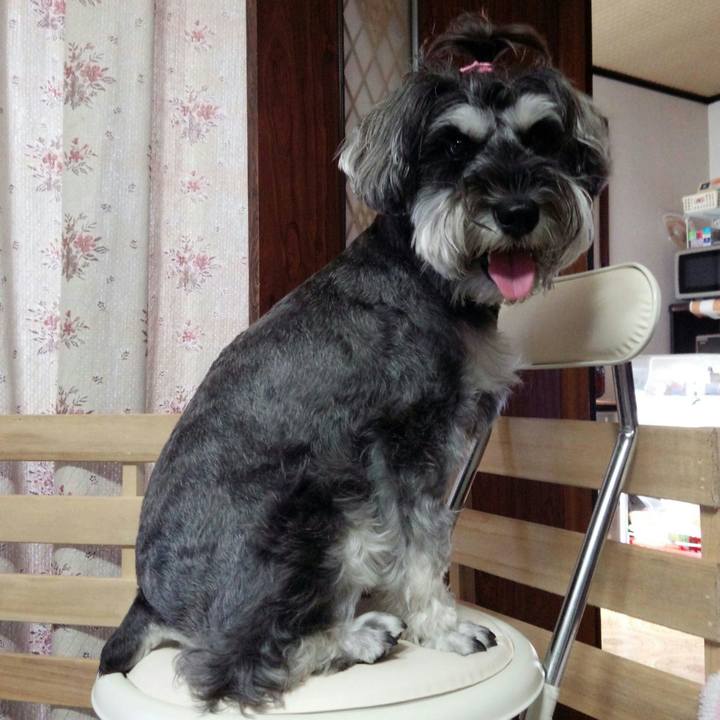 85bb7ddd f51e 4331 a6b1 333ce6a0bb2a