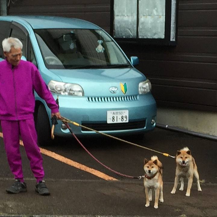 85bb849a fa85 4c84 94d5 196928f9e974