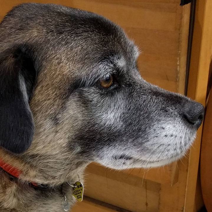 85bd3daa 186c 4373 9882 630d586d5a32