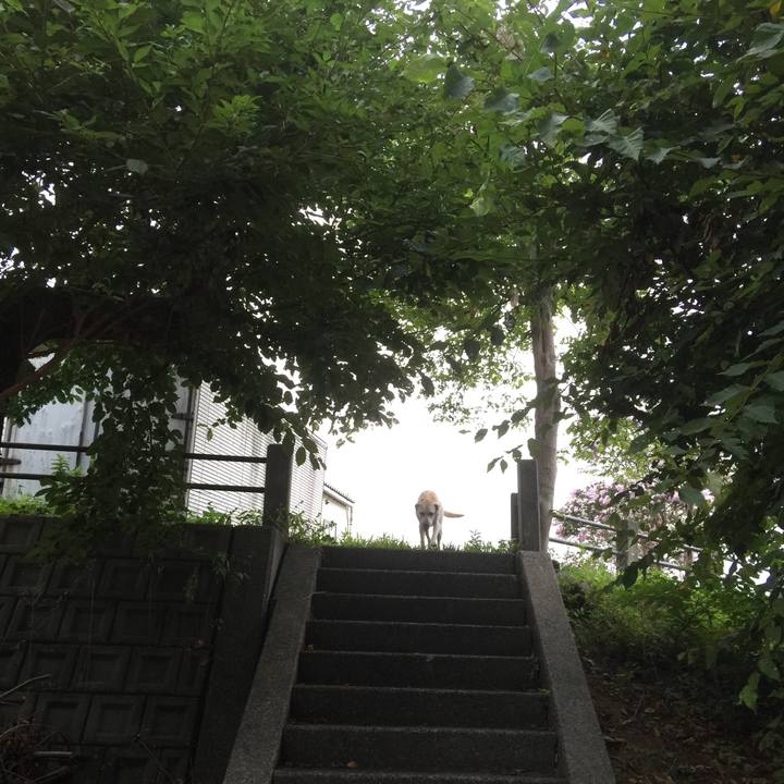 85be90d3 4945 4f34 b741 162d7152a6e5