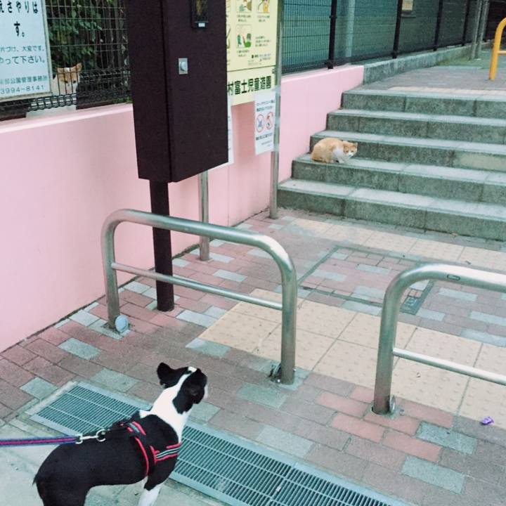 85befdcd b0e2 4268 beba 5922740eaad1