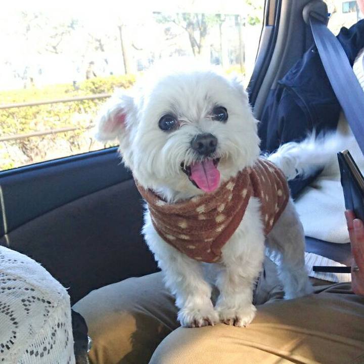 85bf0b70 21c2 4509 8eac 25fe5bcd3b82