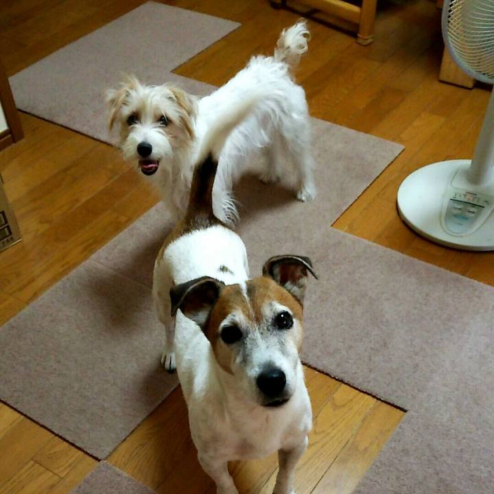 85bf562e 05da 49da 859b 0086a72d6898