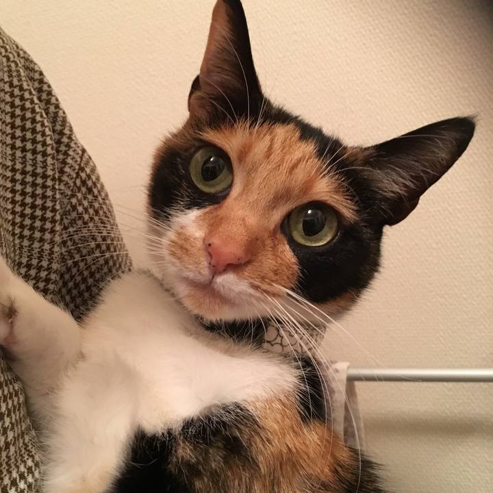 85bf6684 c73e 48b0 895a 85f95bbf8a8e