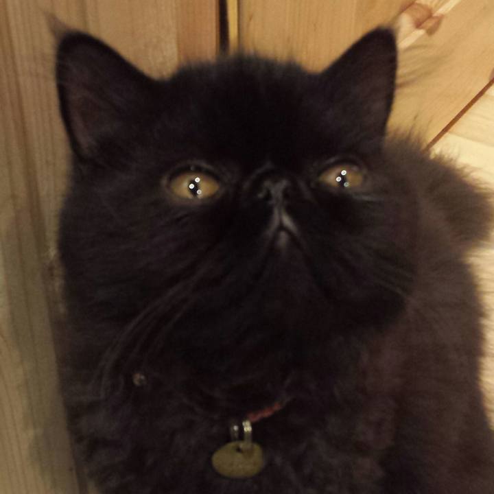 85bfa504 e0c5 4cf3 bd63 7acc2ef5ba27