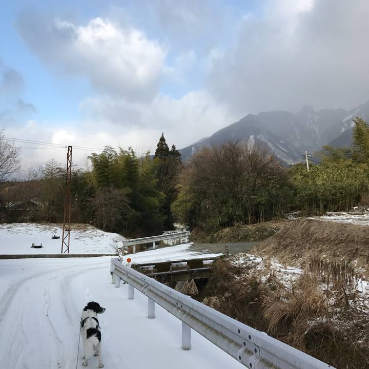 85c04650 1ebf 40c3 a46c aba274db572d