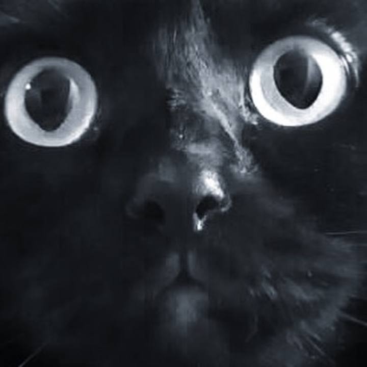 85c0cd5f d507 49e2 aa55 6aaae350f6e5