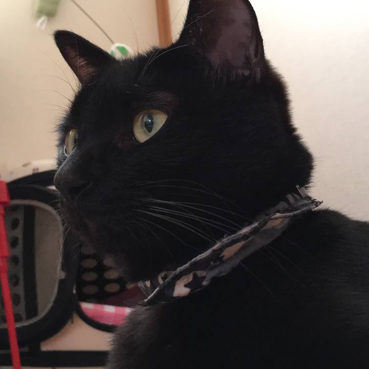 85c1503d ee89 47f2 8187 6a2b25bed2a1