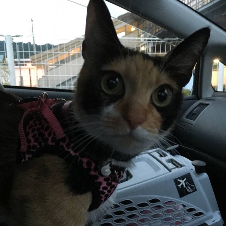 85c18f6f 87b2 4549 801d 412133c47bdf