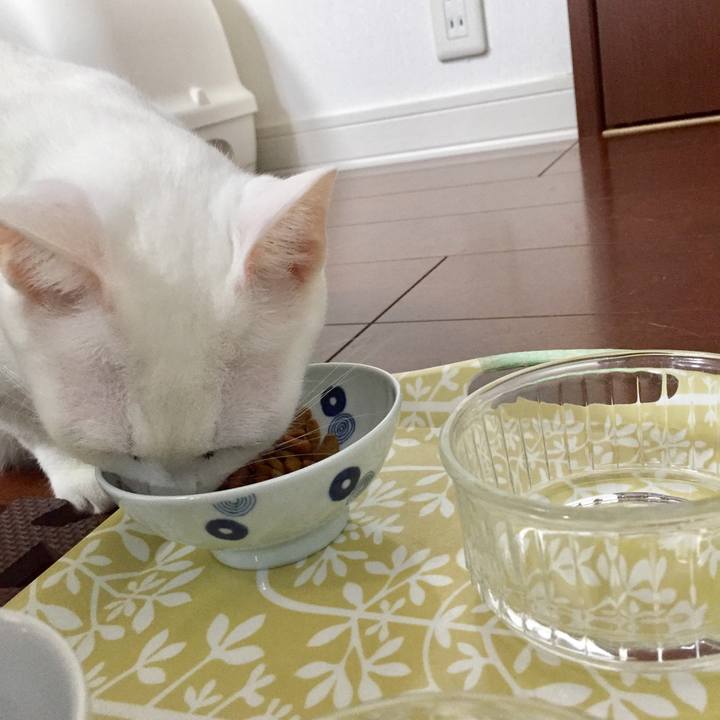 85c1bdd2 7d53 4965 8133 34f0a5c1a302