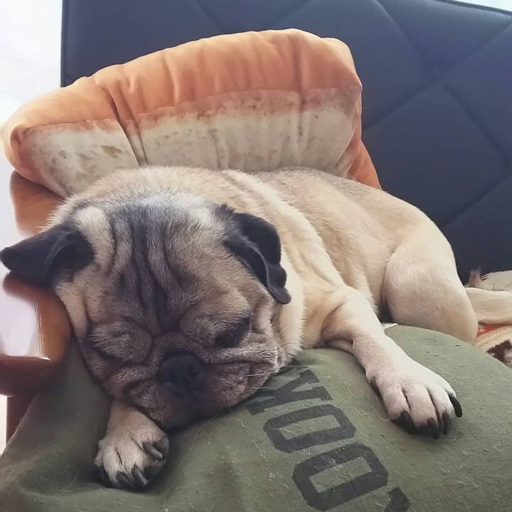 85c28be6 7127 42ee aedd c66444f10988