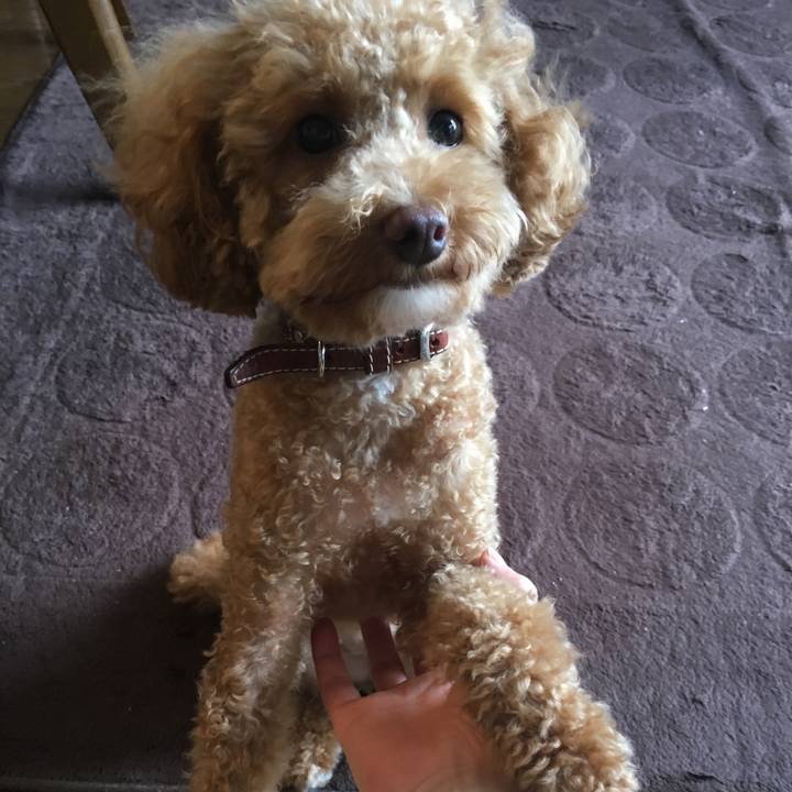 85c2b601 b6f5 4702 af96 3b4cfef3d0a7