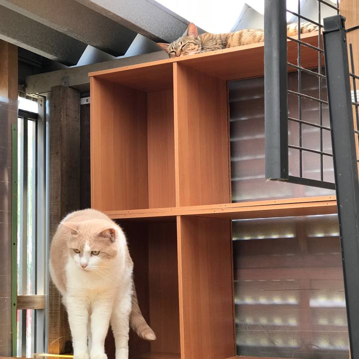 85c2d80d 71da 4a1d be2d 2ce21fe958f5