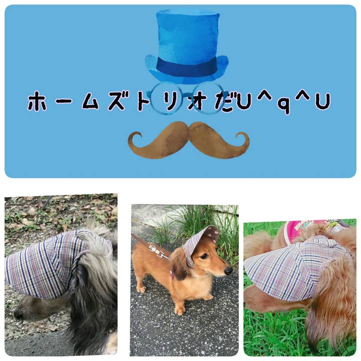 85c36c4d 277b 458f a913 f0cd80f3a2fb