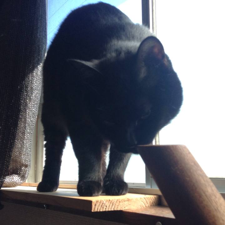 85c719d5 883d 408f bba9 de6fd55a1084