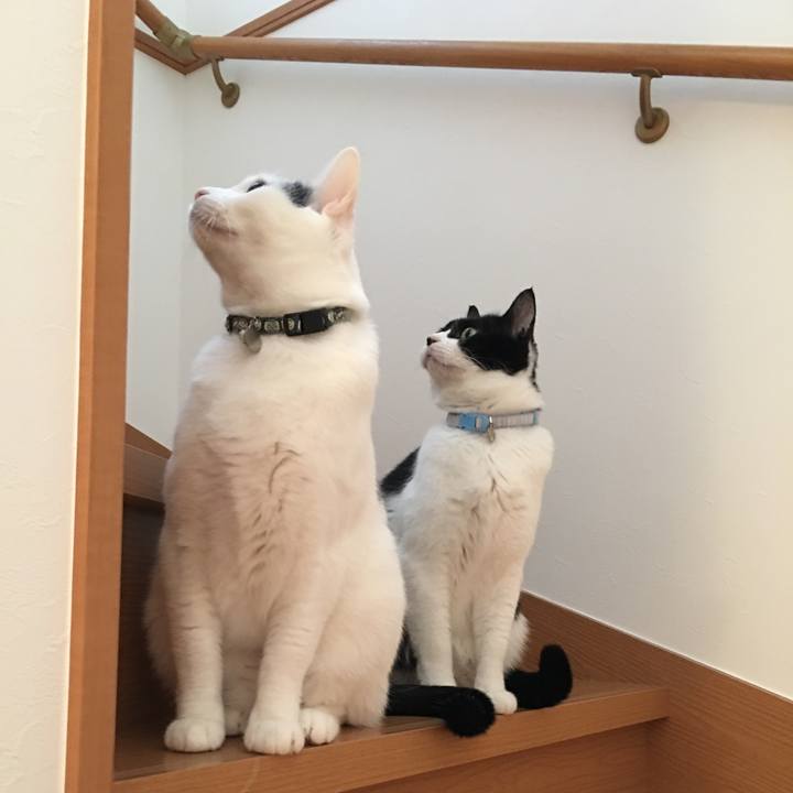 85c735b6 431d 4958 81b5 987028604ae5