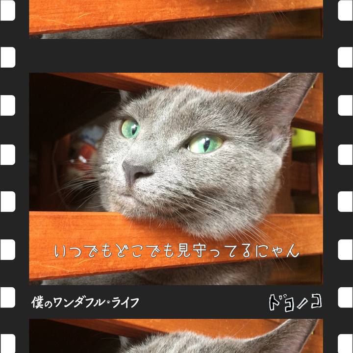 85c75220 670f 48b6 9640 cfa716605ee4