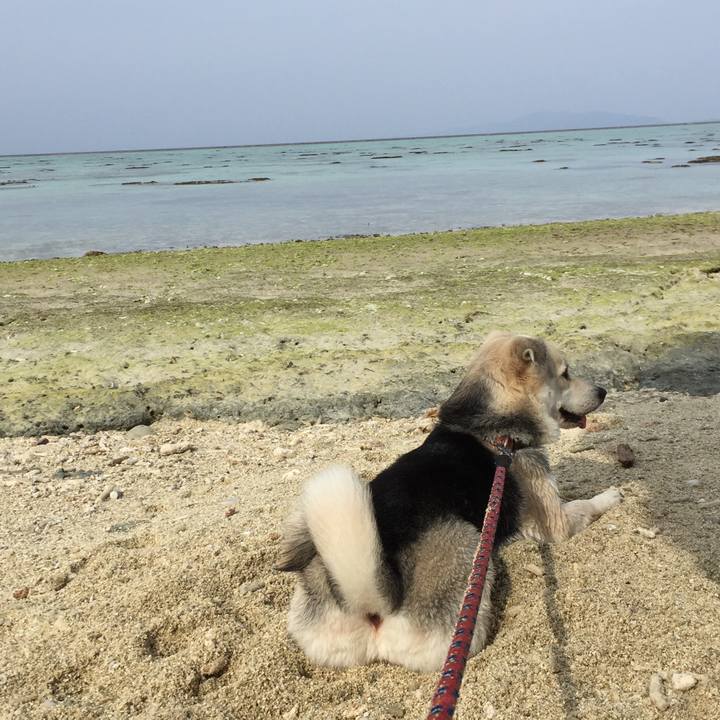 85c7973f dfa8 4833 813a e95bc79407ec