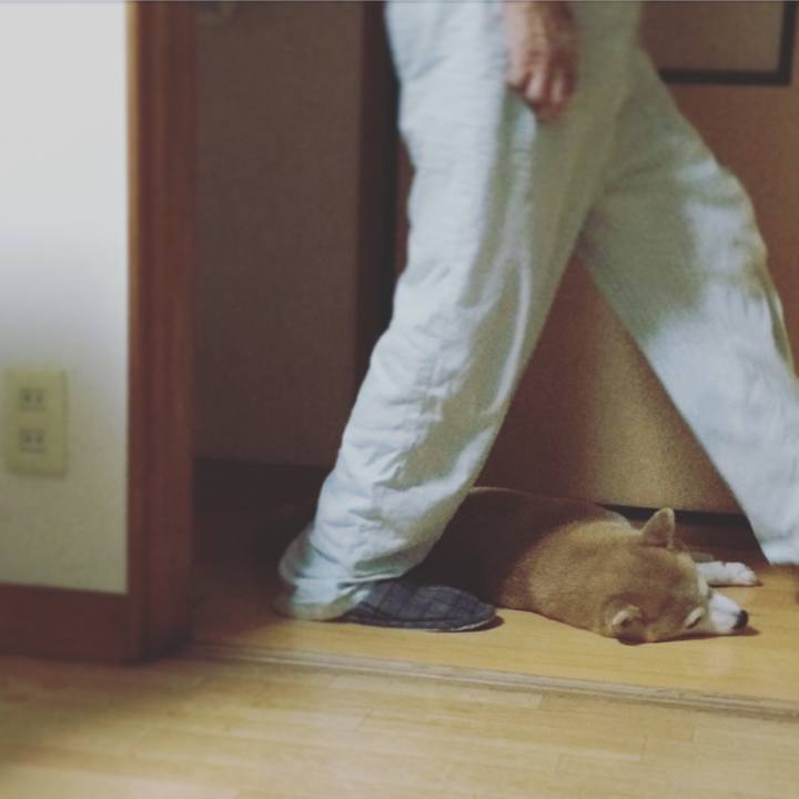 85c7aa47 168f 49e7 8cfd 34b3cb03ed36