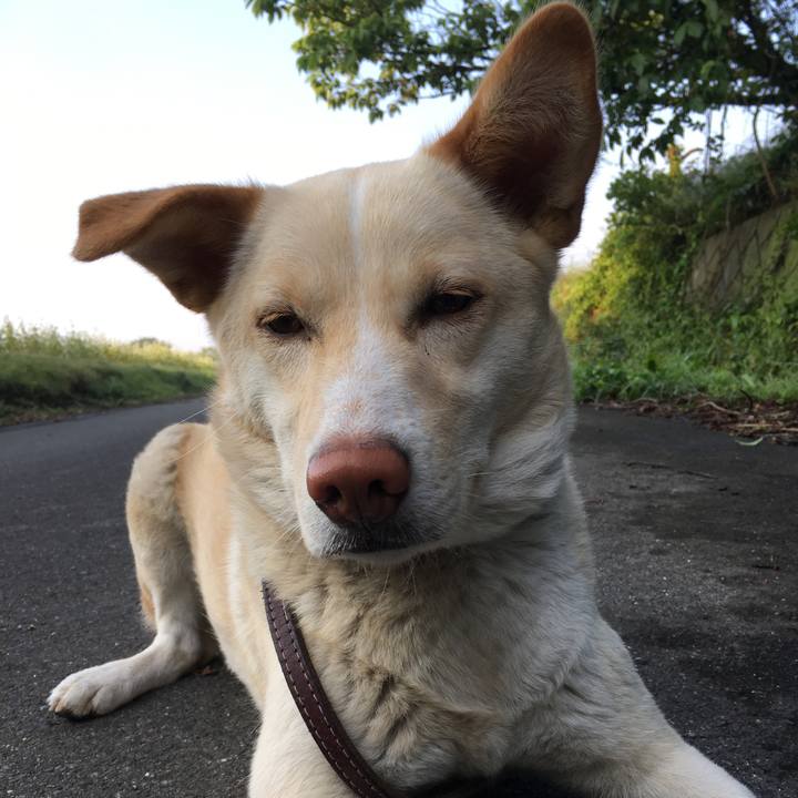 85c7da28 741f 4eff 8f78 69eb7aed5158