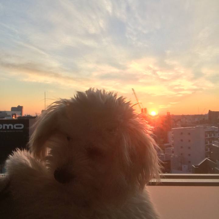 85c88e9e bcb0 45a5 ab78 1a2ce185b10e