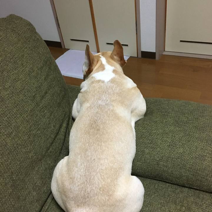 85c9c271 4c90 4113 87fa 22bc4197f7cb