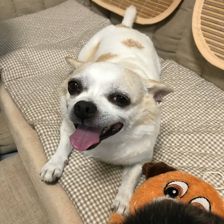 85ca874d 10cf 49a0 ba15 8a2199a0411e