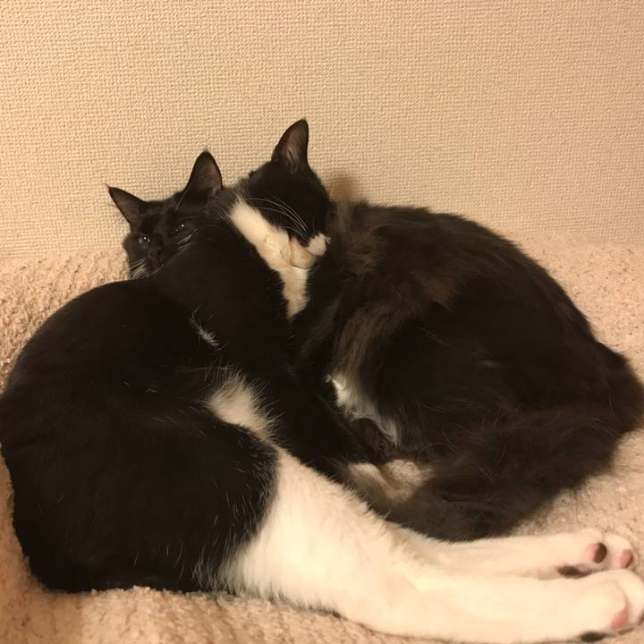 85ca9ddd fb89 42bf 8fb5 4842f9697122