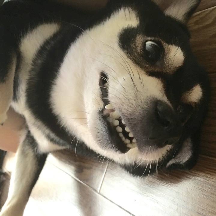 85cb1e35 a304 46fc 9bec 8ef1033651d7