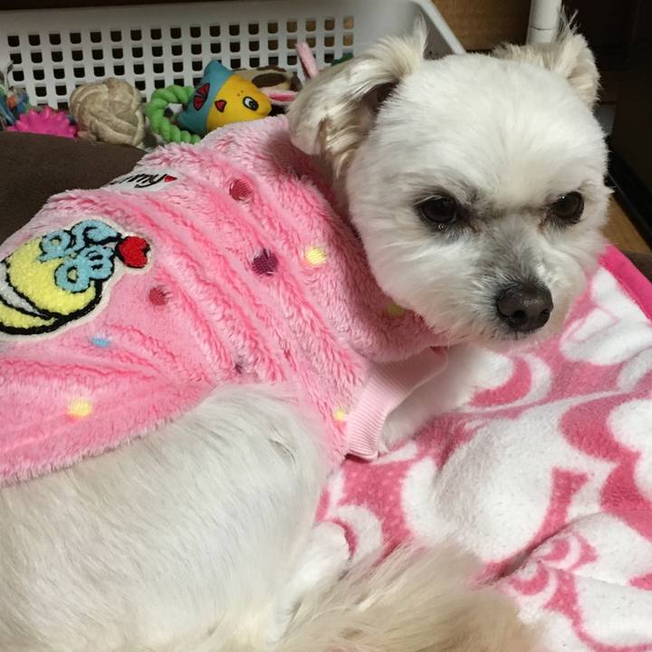 85cb538c 4ac8 4184 b75c 25d4e99827ad