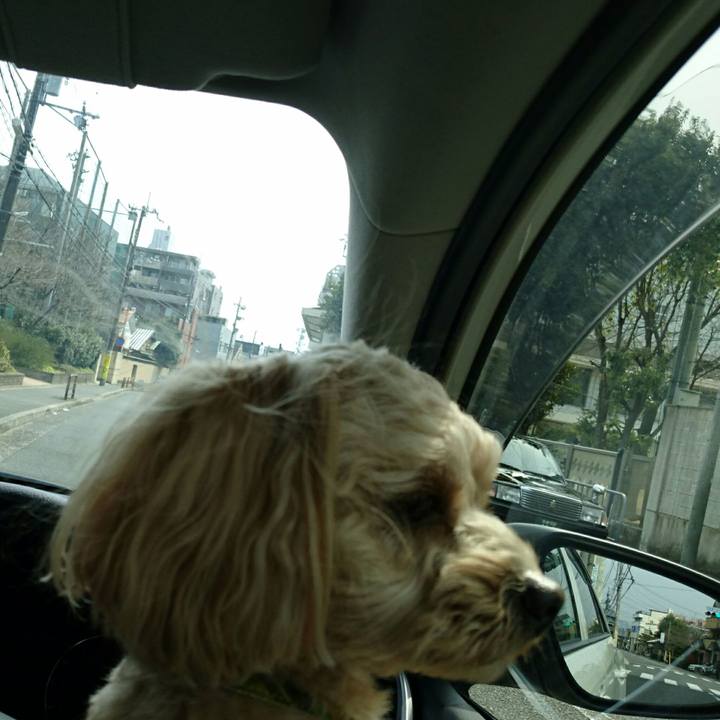 85cb70ba 32e6 43ae b935 2aefb4d5ad43