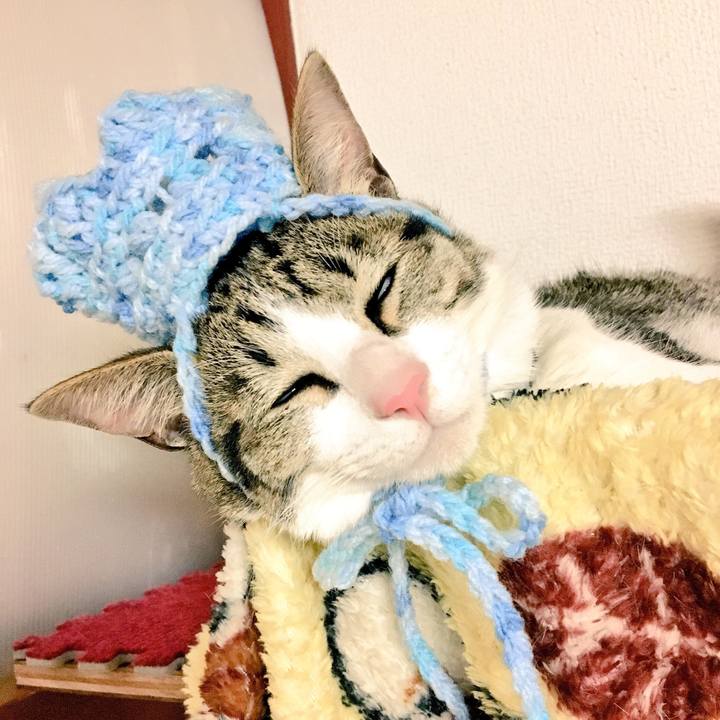 85cb8bfe 07f3 430a bb2f 9098828022b5