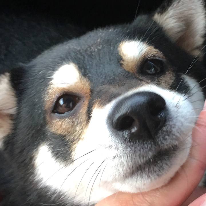 85cb9587 a638 49df bf08 8cb7c882c70a