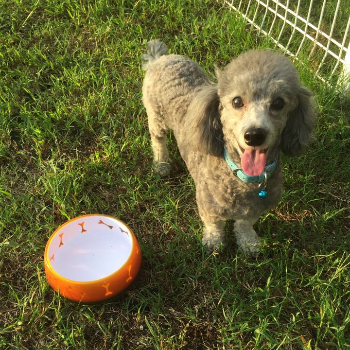 85cbaa3f fff1 4529 8d7f cfc941039eac