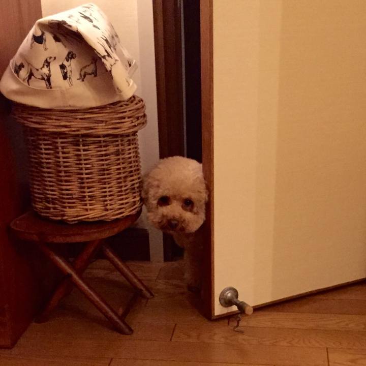 85cbb188 c0ec 461e 9014 000ac4dc1d7a